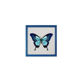 Wallity Cuadro Decorativo Enmarcado Multicolor 32 x 32 cm